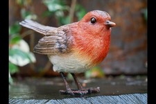 Bird Ornament Small Robin