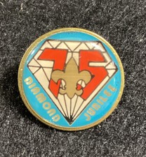 BSA BOY SCOUTS OF AMERICA Pin