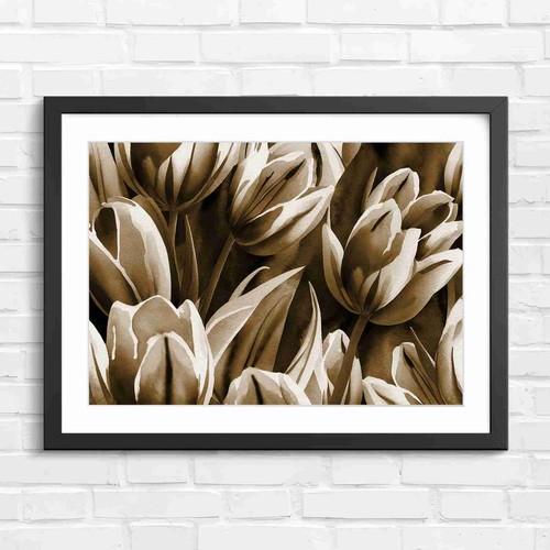 Vibrant tulip garden florals - garden,