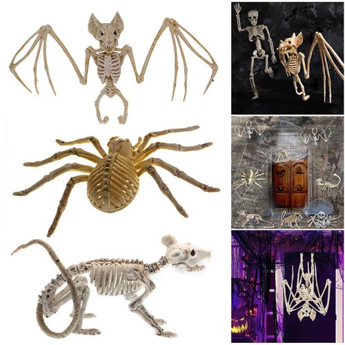 Halloween animals skeleton - halloween,