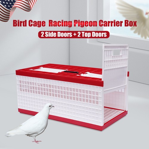 Racing pigeon carrier box - pigeon,