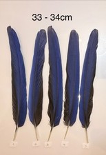 Parrot Macaw Feather Crafts