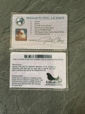 Christmas Santa Novelty