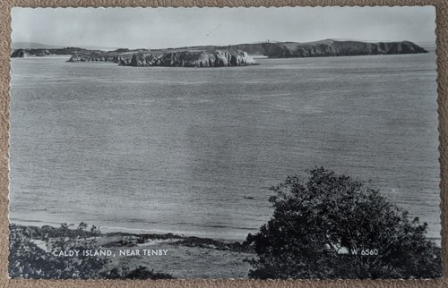 Caldey island tenby - island, nr
