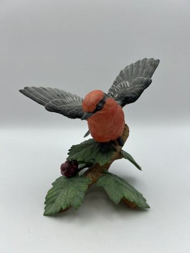 Lenox vermilion flycatcher - vermilion,