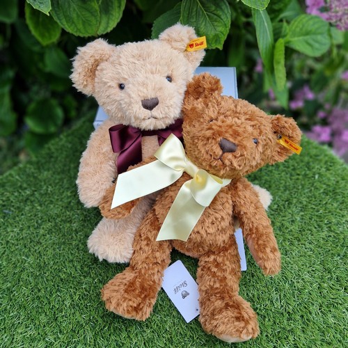 Steiff set cosy - steiff, bear
