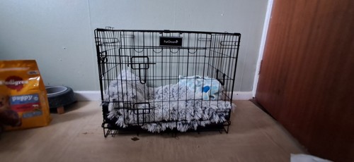 Medium metal dog crate - dog,