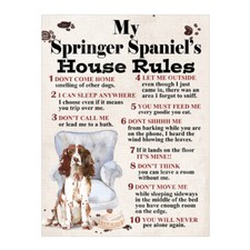  My Springer Spaniel's House