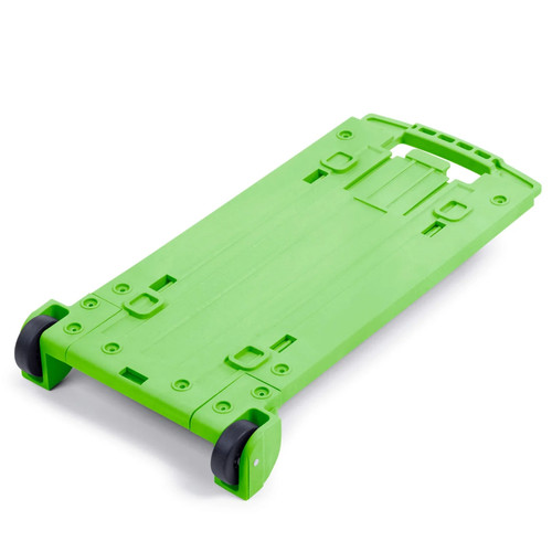 Lime green pelican - lime, or
