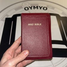 Holy Bible - Illustrated KJV -