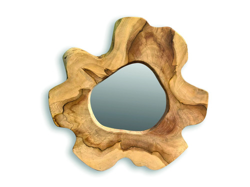 Round teak tree slice - slice, wall