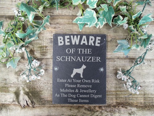 Humorous beware the - humorous,