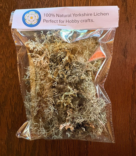 Dried lichen - lichen, (oak