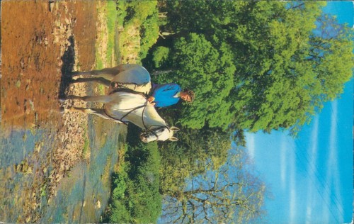 Horses and rider 1980