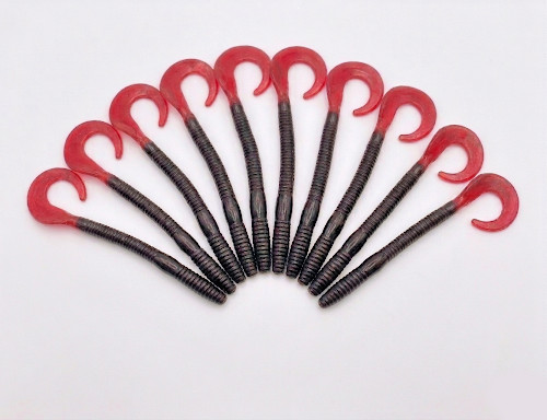 Black red firetail jelly - firetail, 6"