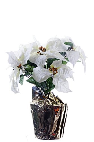Christmas white artificial - christmas,
