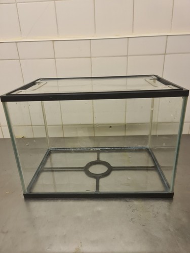 Glass rectangular aquarium - rectangular,