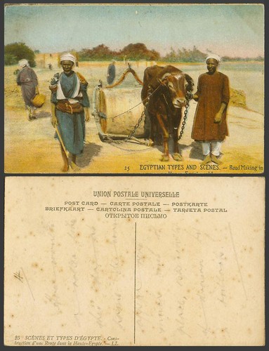 Egyptian old postcard buffalo - egyptian,
