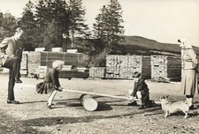 The Royal Family at Balmoral -