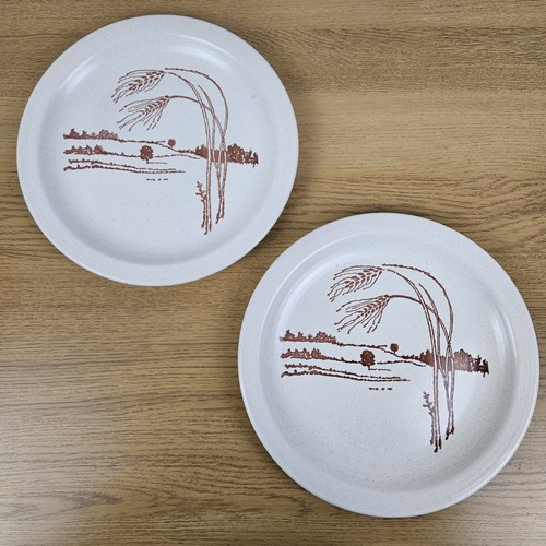 Churchill barley dinner plates - churchill,