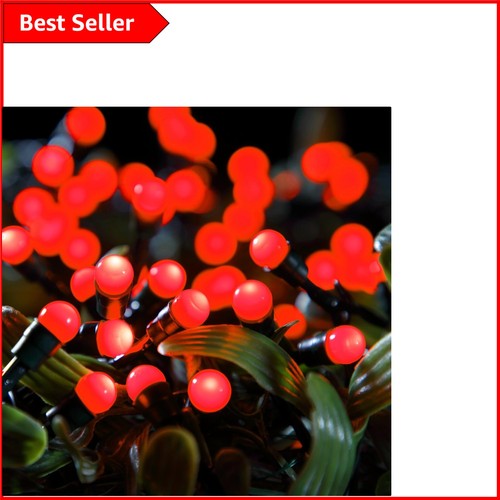 Holiday ready 100 led berry - 100,