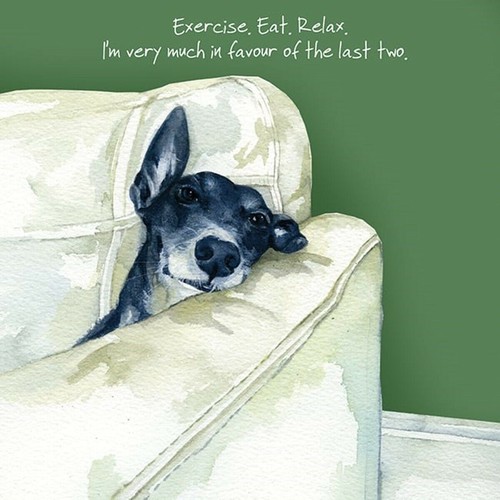 Greyhound greeting card - greyhound,