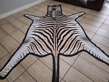 Zebra hide  / skin - A large A