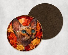 Autumn Devon Rex Cat Kitten
