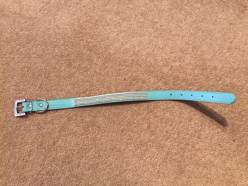 Blue rhinestone diamanté dog - blue,