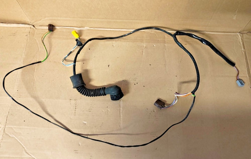 Passenger left door wiring - left,