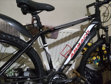 Ammacco Team 29er