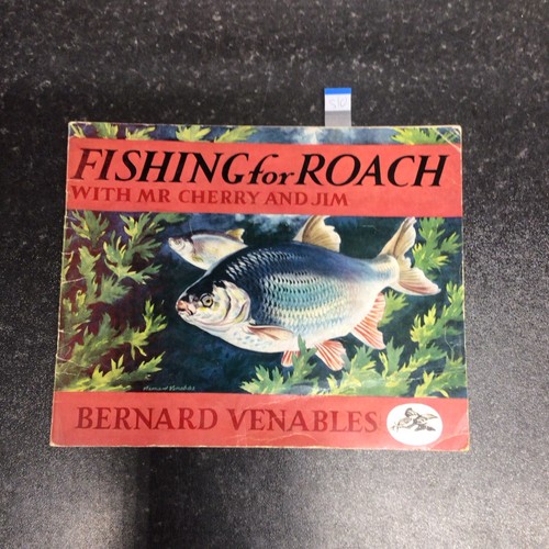 Fishing for roach - roach, with