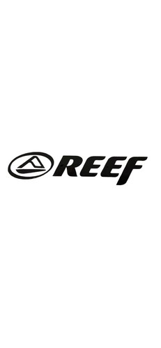 Reef surf car van - 5”, car/van/window