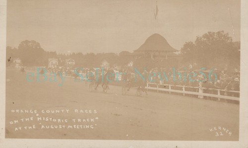 Goshen harness horse - goshen,