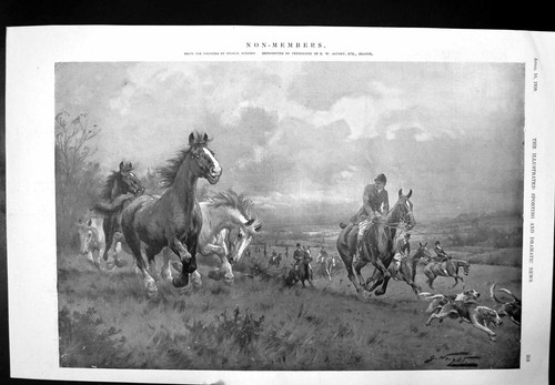 Antique print non members - antique, non-members