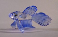 SWAROVSKI CRYSTAL SIAMESE FIGHTING FISH BLUE 236718 MINT BOXED RETIRED RARE