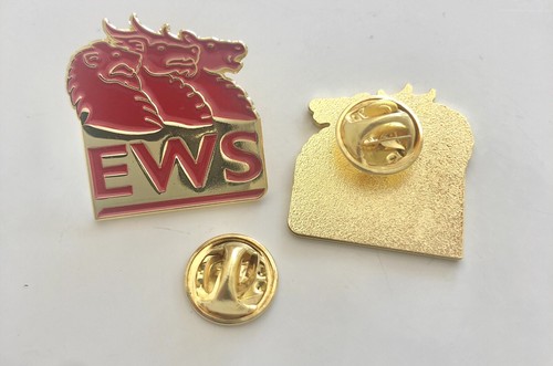 Ews pin badge - ews,
