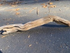 All-Natural Manzanita Driftwood 21" Reptiles, Birds, or Fishtank 