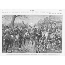 FOX HUNTING Scene with the PYTCHLEY Hunt - Antique Print 1900