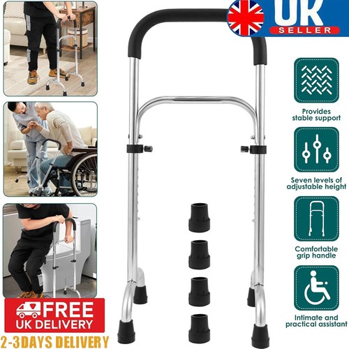 Stand assist mobility - assist, standing