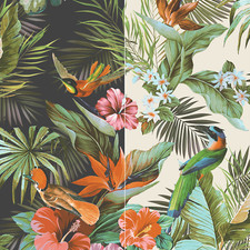 Paradise Birds Wallpaper Wall