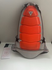 JL, Junior Large Dainese Back