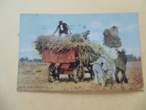 Farm life carrying rural - carrying,,