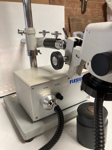 Euromex stereo zoom microscope - euromex,