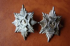 Pair of Worcestershire & Sherwood Foresters Regiment collar badges.