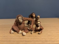 Monkey Orangutang Chimp