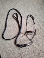 Miniature Beaded Show Halter for American Mini Pony Hand Bridle