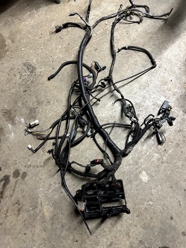 Genuine harley davidson - genuine, 08-13