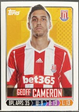Topps Premier League 2014 - #