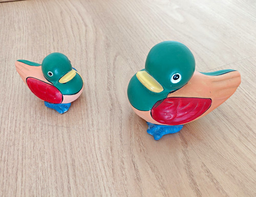 Duck set multicolour - duck,